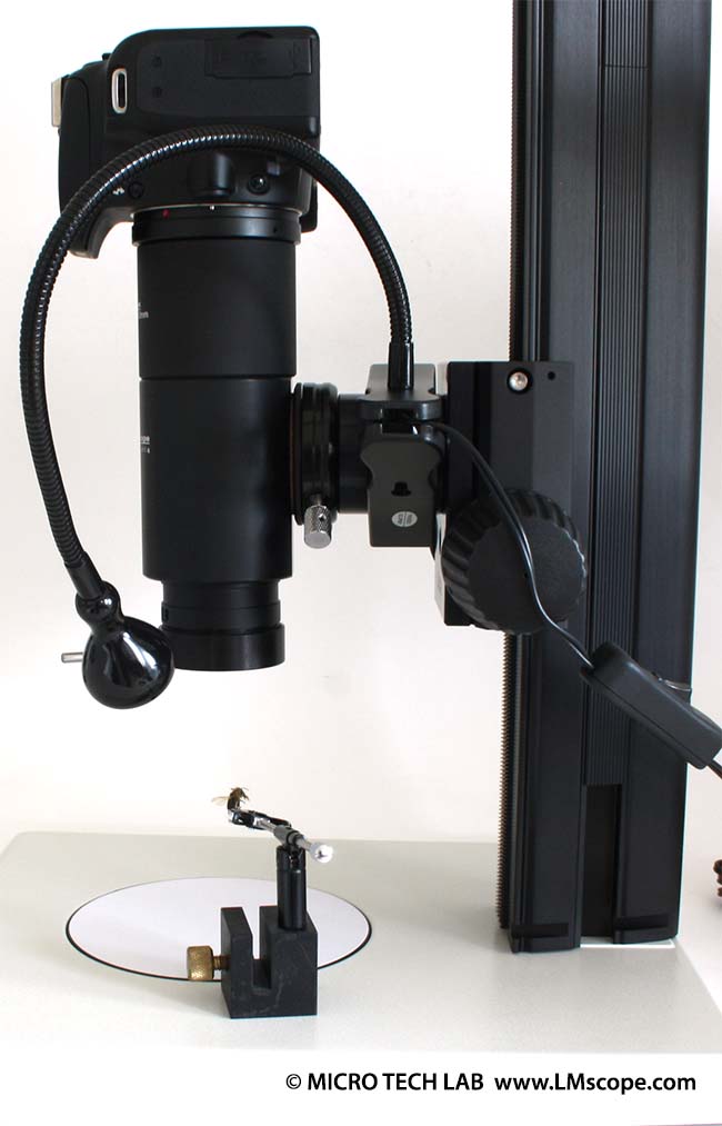 Canon EOS 1000D auf LM Makroskop 16x