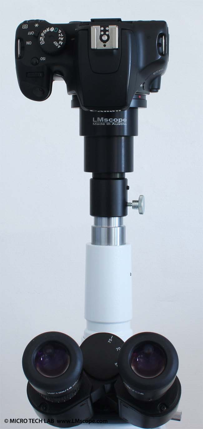 Canon EOS 1000D am Fototubus einen Lotus Micros Mikroskops