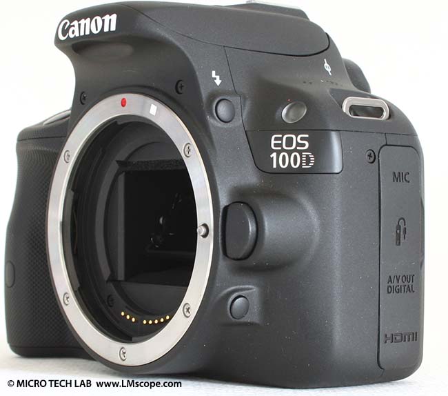 sin cobre pala Canon EOS 100D - qué puede hacer la cámara DSLR más pequena en un  microscopio