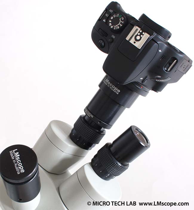 Canon EOS 100D Kamera Anbindung an Mikroskop am Okulartubus mit LM digital Adapter