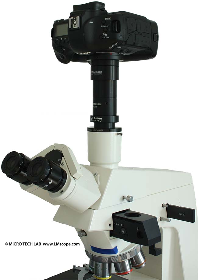 Solution adaptateur Canon EOS-1D X Zeiss Axioskop optique planachromate