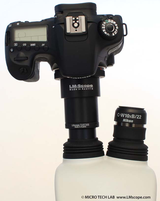 Canon EOS 60D on the eyepiecetube of Nikon SMZ745 eyepiece camera adapter solution