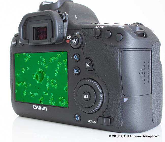 Canon EOS 6D ecran fixe