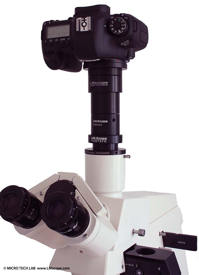 Adapter solution for microscope Canon tablet