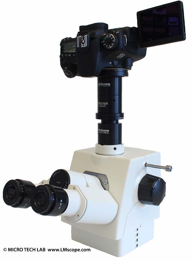 Canon EOS 70D mit Fotoport am Mikroskop