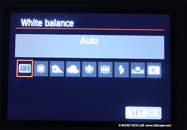 White balance DSLR Canon