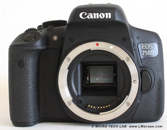 DSLR Canon EOS 750D Vorderansicht