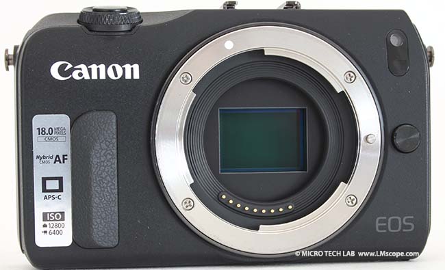 Canon EOS M spiegellose Systemkamera Test Mikrofotografie
