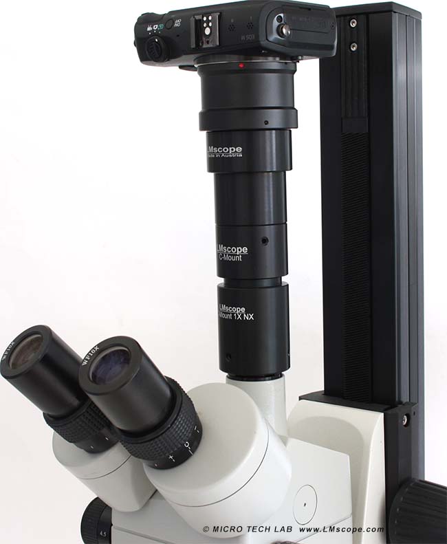 Canon EOS DSLM on microscope photo tube