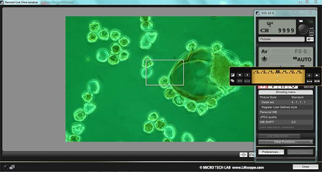 logiciel Canon EOS Utility photo microscopique reglage de la luminosite