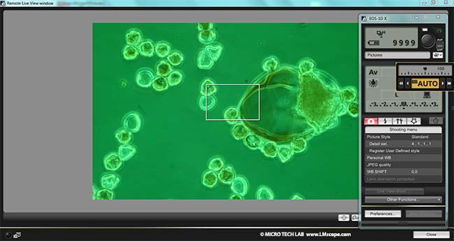 Canon ISO for microscope LM adapter cameraadapter