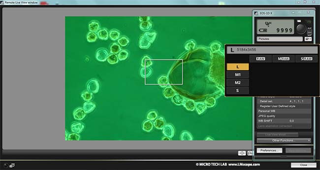 logiciel Canon EOS Utility qualite de l image