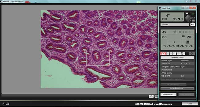 Canon EOS Utility Software white balance microscope