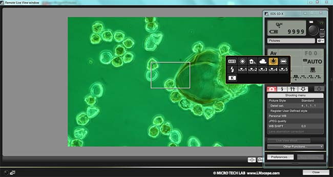 LM camera adapter with Canon EOS Utility Software 