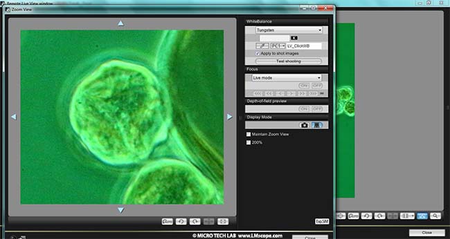 Canon EOS Utility Software Lupenfunktions Werkzeug für Mikroskopie nutzen
