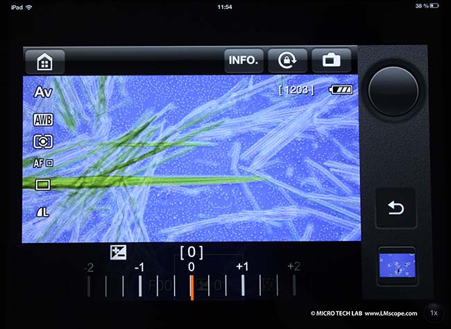 Canon microscope camera setting illumination