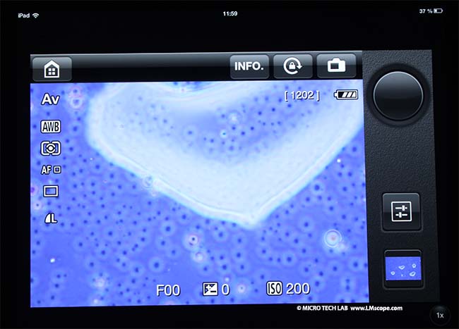 microscope camera Canon live view image on IPad