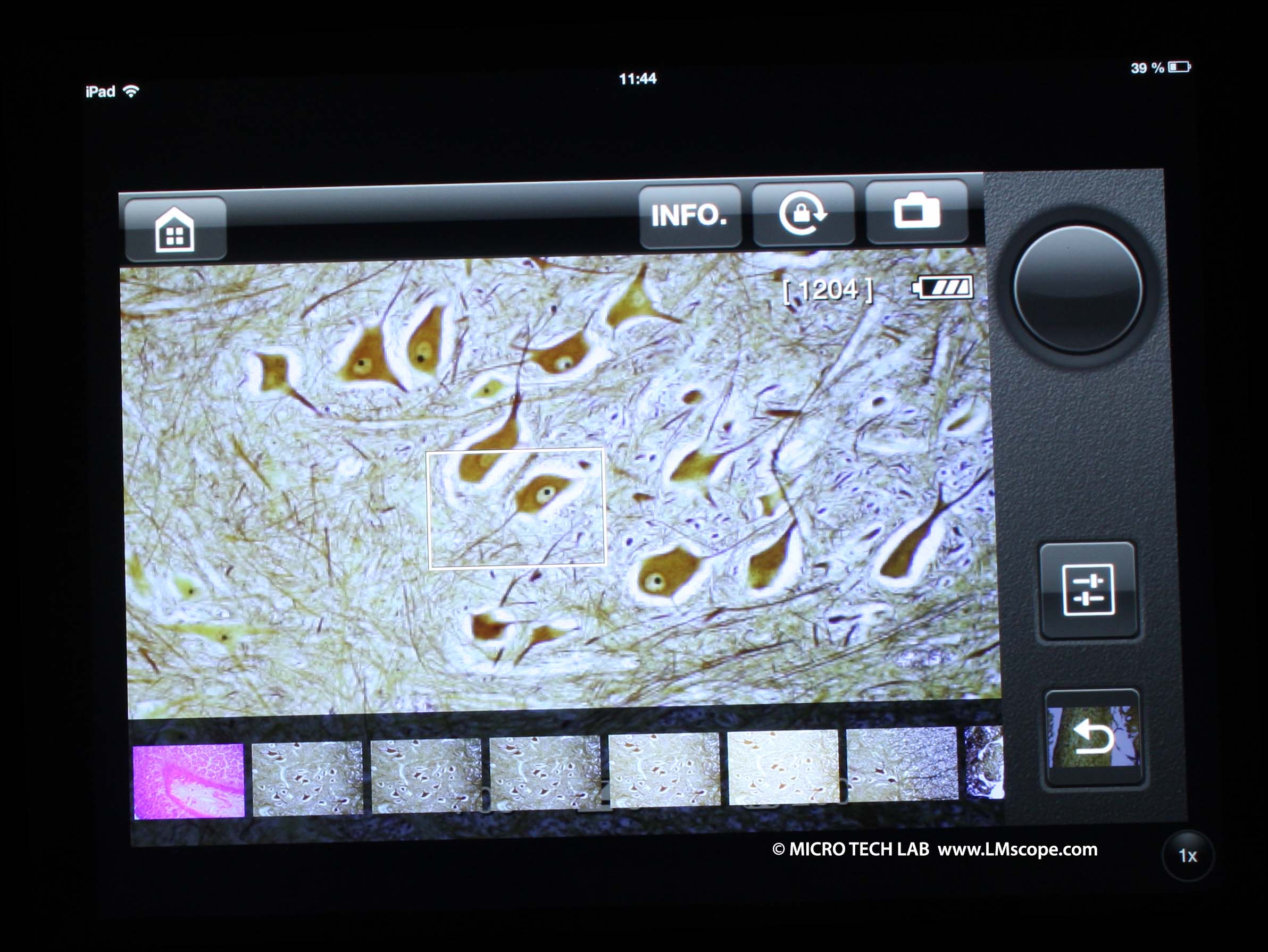 Ipad App Canon Remote Microscopy use