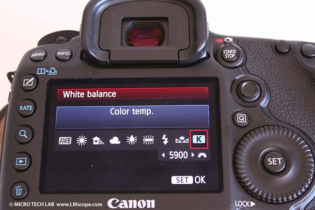 Canon 5D Mark III temperatura del color