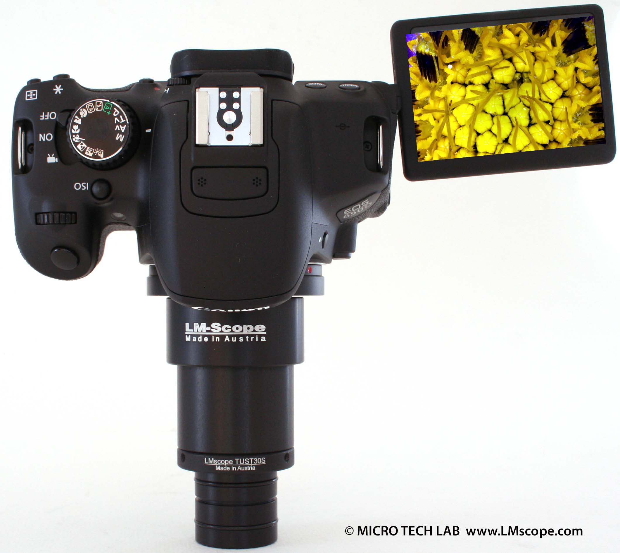 Canon EOS 650D bewegliches Display Okularkamera