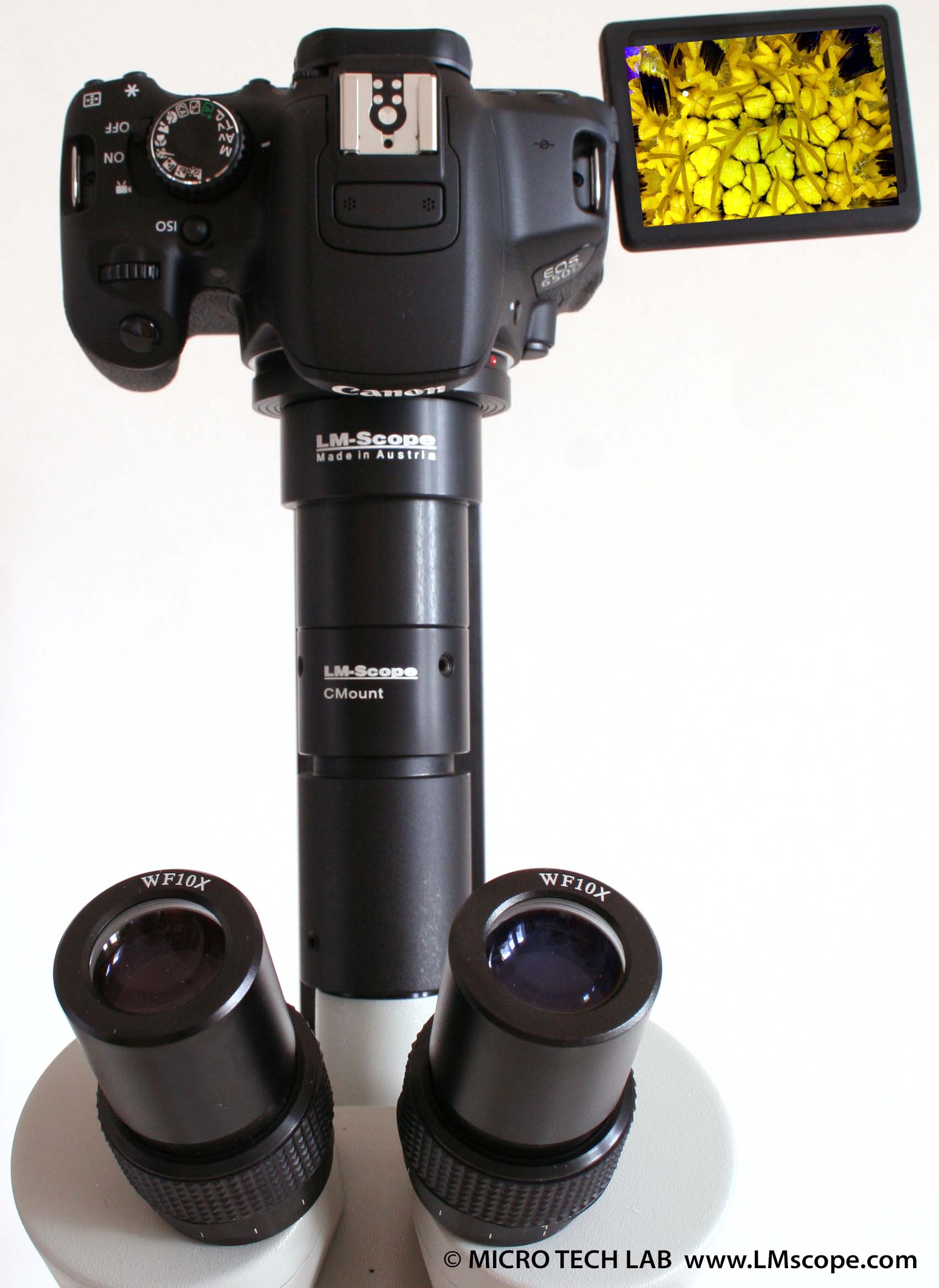 Canon Rebel T4i EOS 650D attached on a microscope tilting display