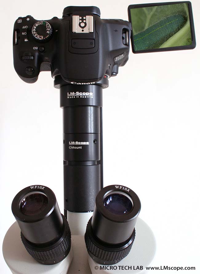 adaptator para microscopio y Canon EOS 700D