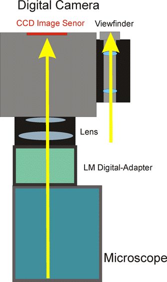 digital camera DSLR FTP server data transmitting