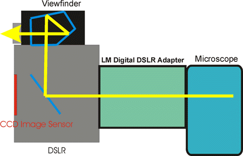 CCD image sensor DSLR adapter solution