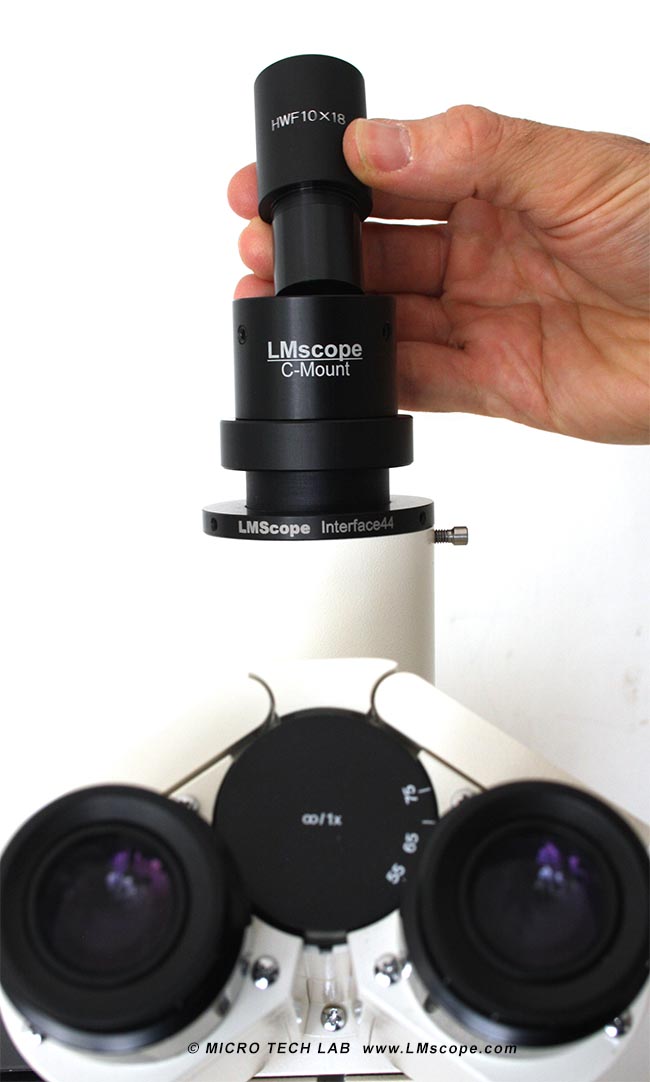 visual factor microscope cmount
