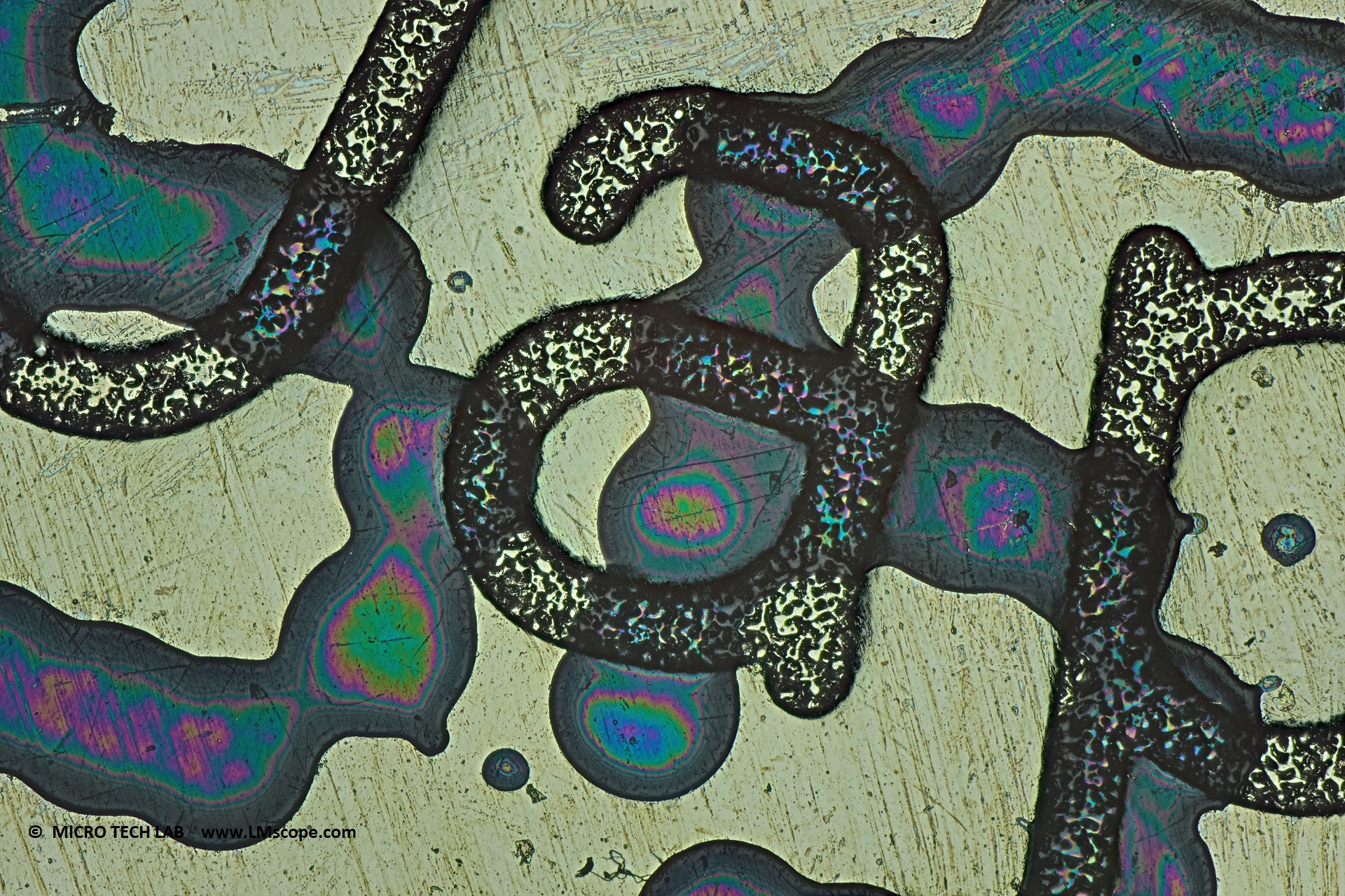 Lithium Knopfzelle unter dem Mikroskop
