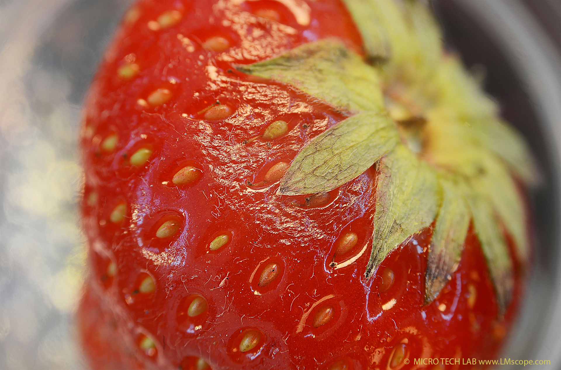 Erdbeere: Detailaufnahme der Erbeeroberfläche
