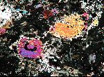 Rock thin section