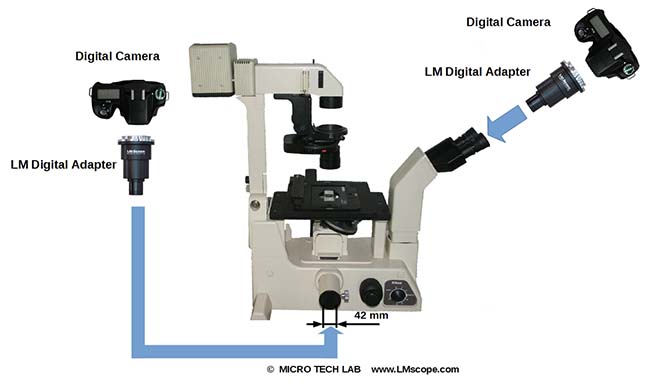 Nikon Diaphot old microscope