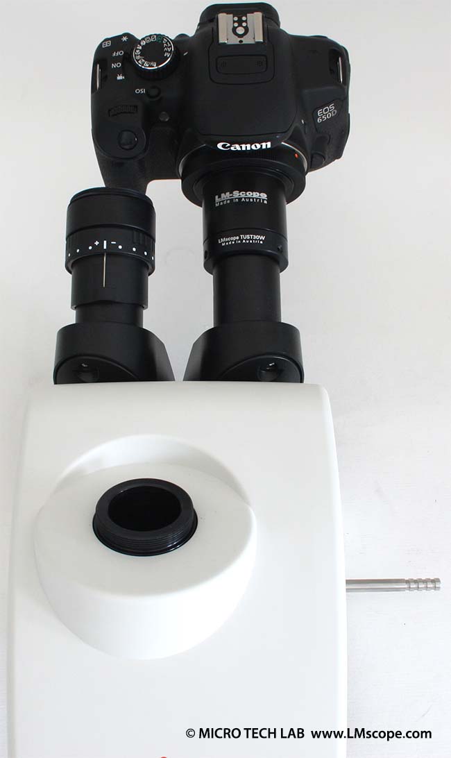 adapter solution on the eyepiece of Leica MZ6 stereomicroscope