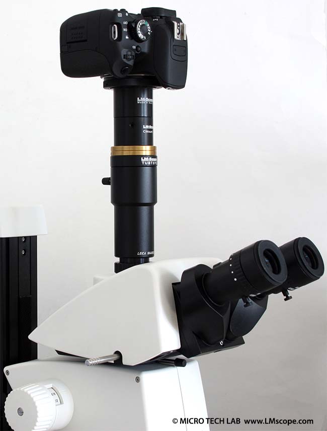 Solution adaptateur LM pour Leica M205C