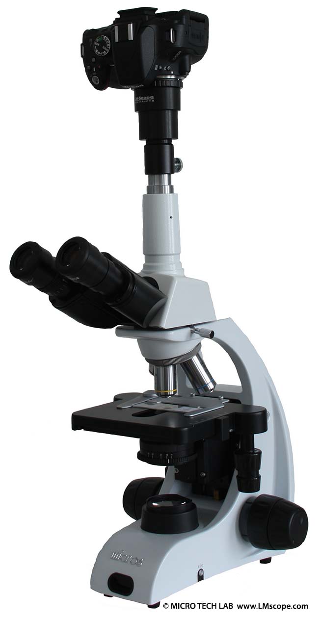 Micros Lotus MCX51 pour documentations photographiques tube photo tube oculaire