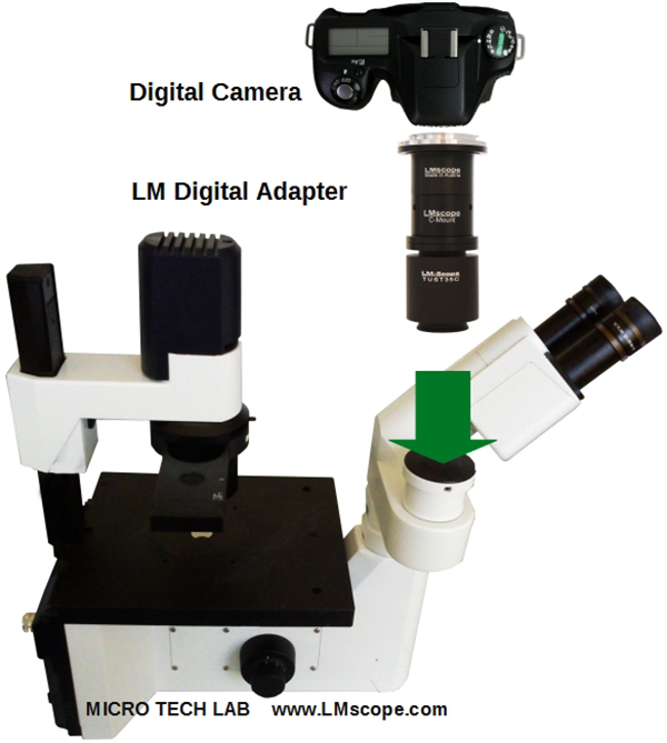 Leica umgekehrtes Mikroskop mit Digital Adapter und Digitalkamera