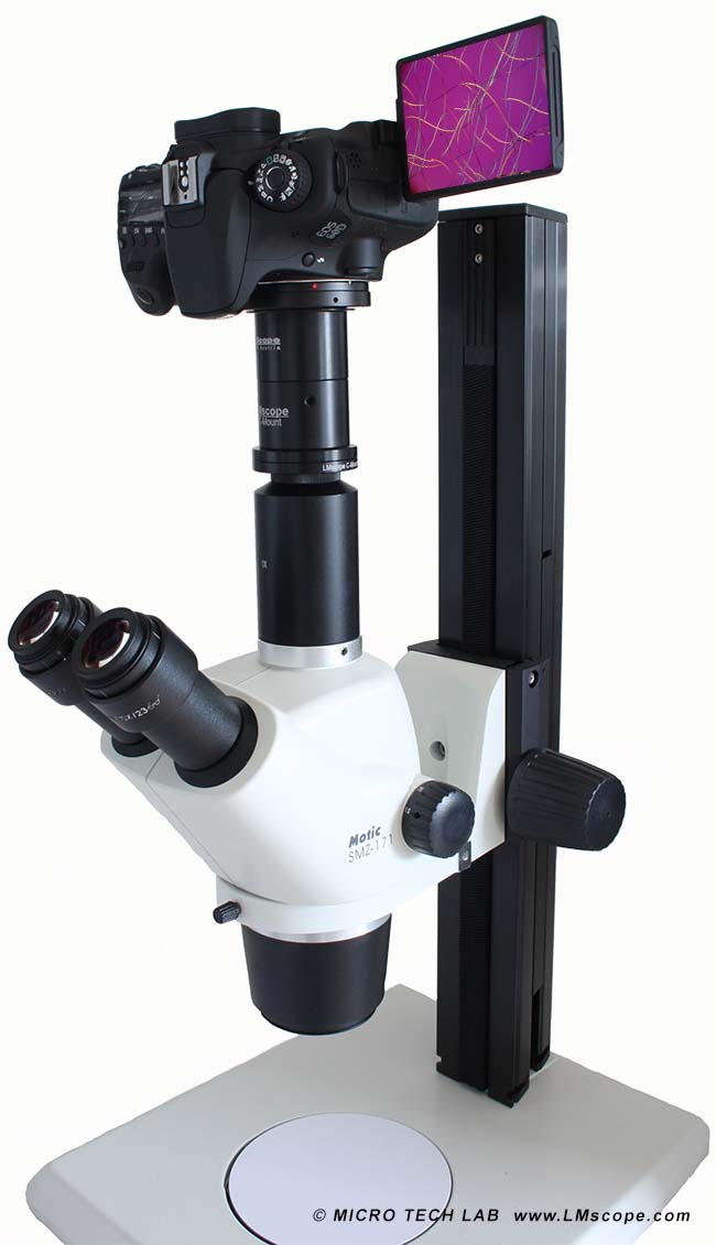 Motic photo tube with universal adapter Cmount C-mount 1x widefield