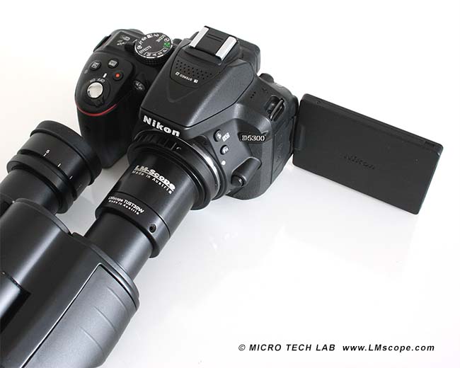 Nikon D5300 am Okulartubus Mikroskop