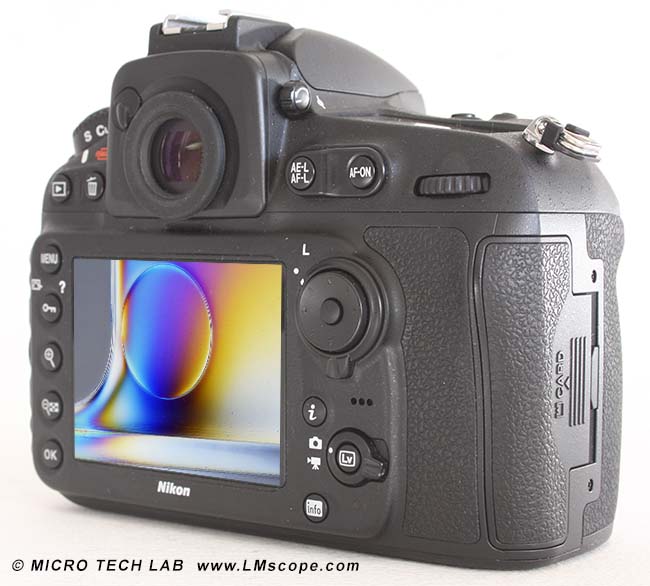 Nikon D800 Rückansicht