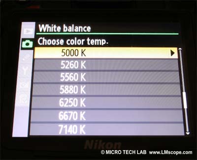 Nikon D7000 ajustar la temperatura de color microscopía