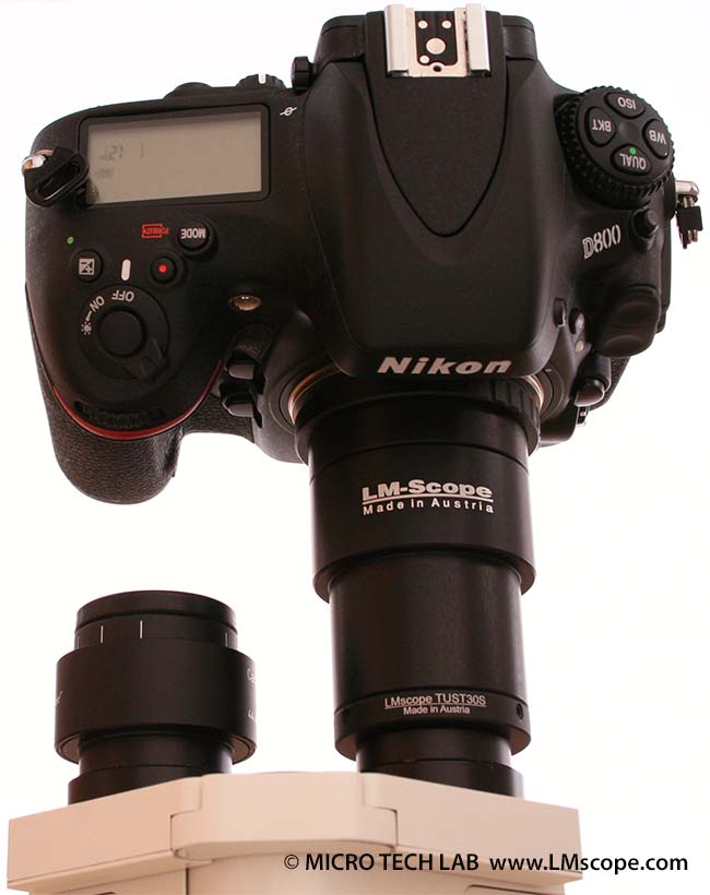 Nikon D800 sur tube oculaire