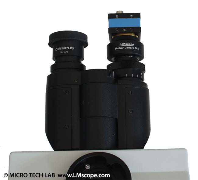 Olympus BX c-mount camera eyepiece camera