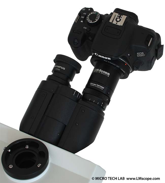 adaptator occular para DSLR microscopio Olympus BX