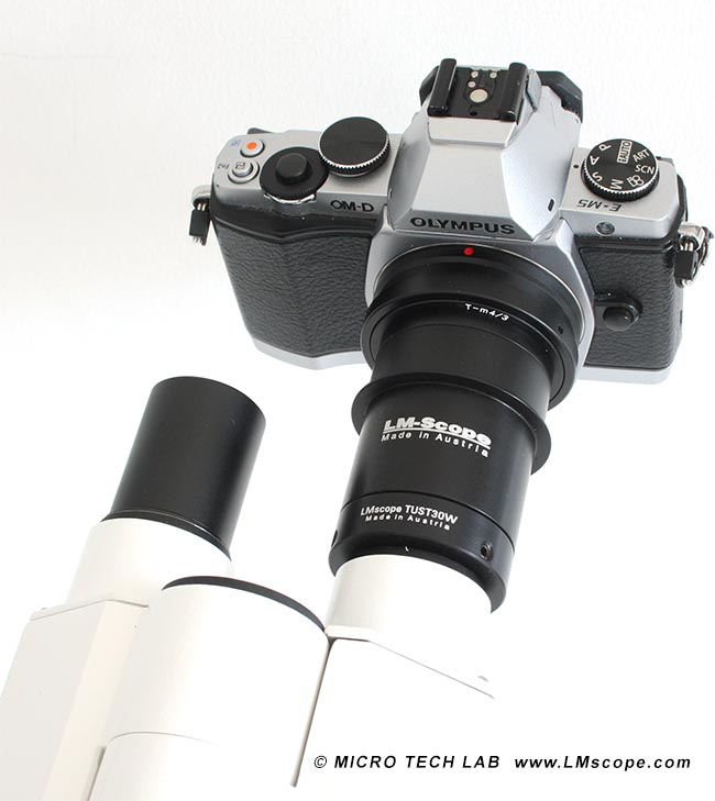 Olympus OM-D E-M5 on eyepiece tube of microscope with LM digital Adapter