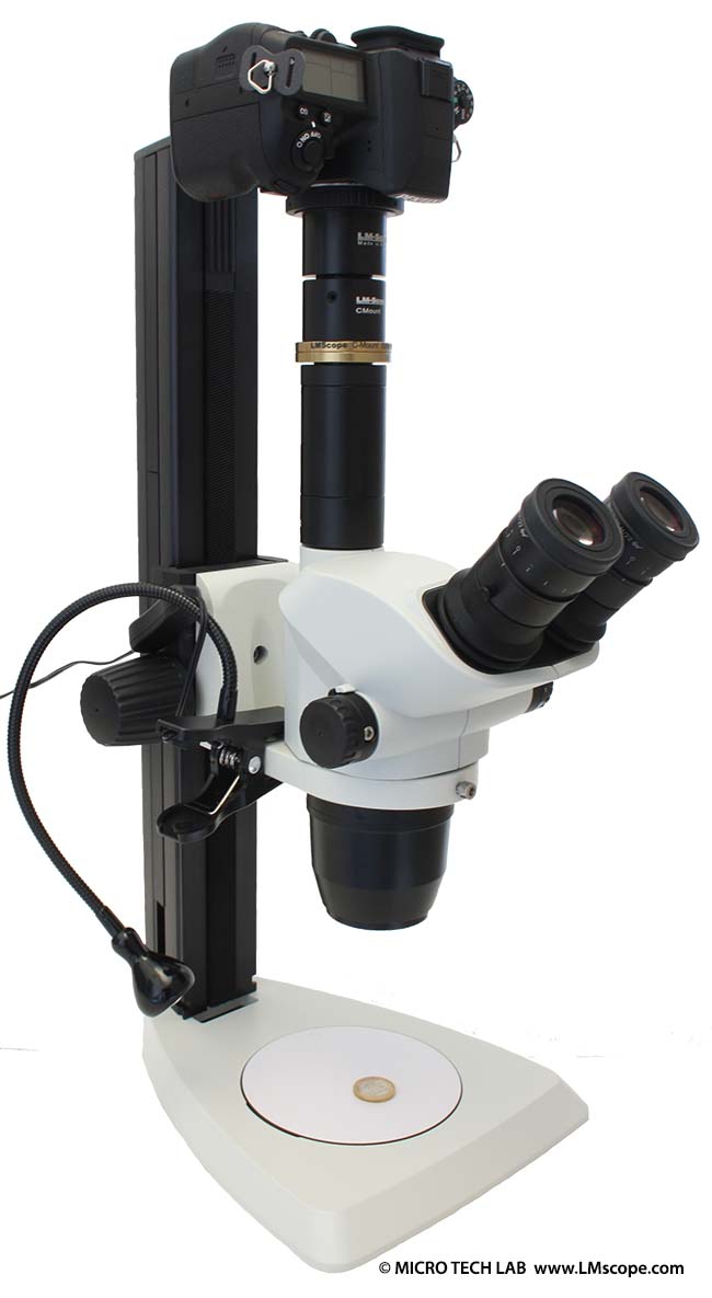 Olympus SZ61 stereoscope avec adaptateur numerique et appareil photo numerique