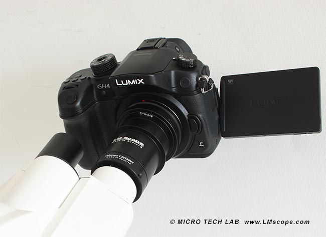 Panasonic GH4 with LM digital Adapter on eyepiece tube