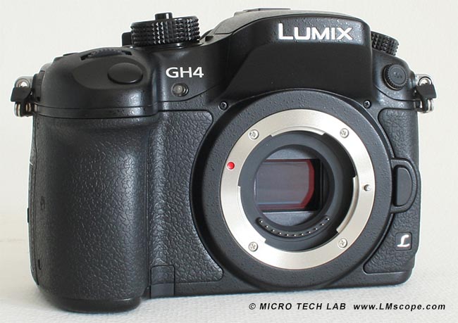Panasonic Lumix GH4 Microfotografie LMscope