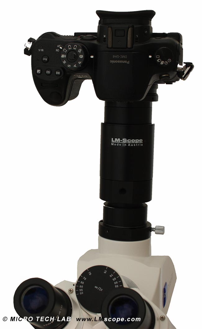 Panasonic GH4 mit LM digital Adapter auf Zeiss Mikroskop