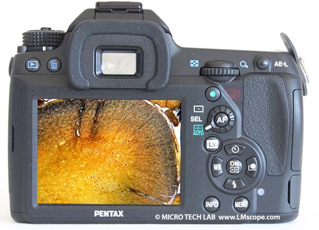 Pentax K-5 IIs ecran fixe